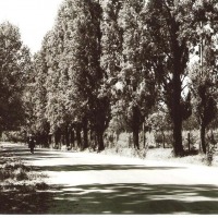 Foto de Tupungato - Mendoza