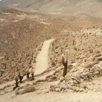Foto de Valles Calchaquíes - Salta
