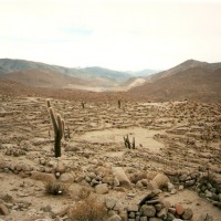 Foto de Valles Calchaquíes - Salta
