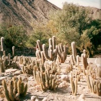 Foto de Tilcara - Jujuy