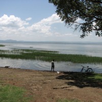 Foto de Awasa
