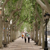 Foto de Albacete