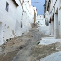 Foto de Oliva
