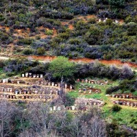 Foto de Valverde de los Arroyos