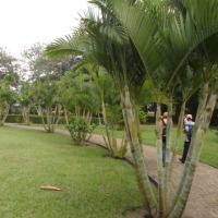 Foto de Los Naranjos