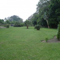 Foto de Los Naranjos