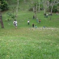 Foto de Los Naranjos