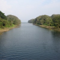 Foto de Los Naranjos