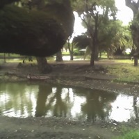 Foto de Pehuajó