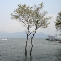 Foto de Lago de Yojoa (Depto. de Cortés)
