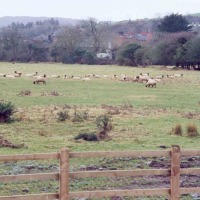 Foto de Skibbereen (Cork)