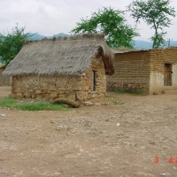 Foto de Bolaños