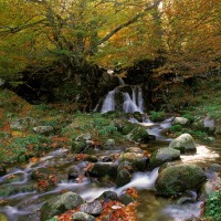 Foto de Bezanes