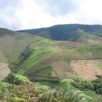 Foto de Guaraque