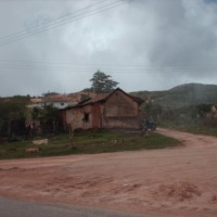 Foto de Arbol Redondo