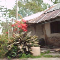 Foto de San Lazaro