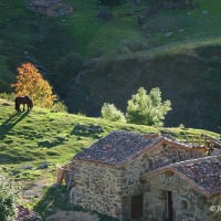 Foto de Aller