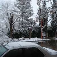 Foto de Cutral-Co