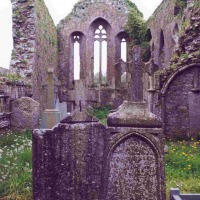 Foto de Buttevant (Cork)