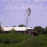 Foto de Binidali - Menorca