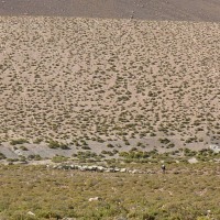 Foto de San Pedro de Atacama