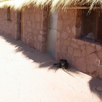 Foto de San Pedro de Atacama