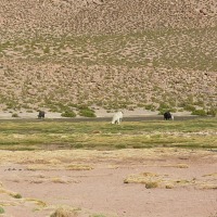 Foto de San Pedro de Atacama