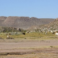 Foto de San Pedro de Atacama