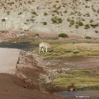 Foto de San Pedro de Atacama