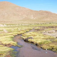 Foto de San Pedro de Atacama