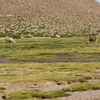 Foto de San Pedro de Atacama