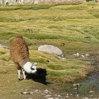 Foto de San Pedro de Atacama