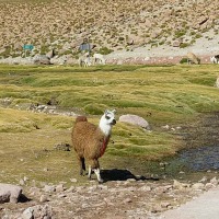 Foto de San Pedro de Atacama