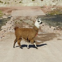 Foto de San Pedro de Atacama