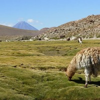 Foto de San Pedro de Atacama