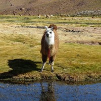 Foto de San Pedro de Atacama