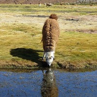 Foto de San Pedro de Atacama