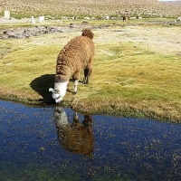 Foto de San Pedro de Atacama