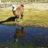 Foto de San Pedro de Atacama
