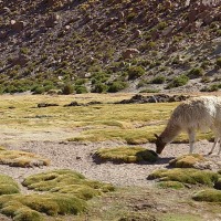 Foto de San Pedro de Atacama