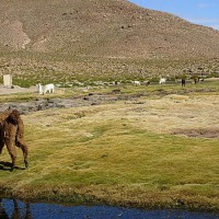 Foto de San Pedro de Atacama