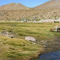 Foto de San Pedro de Atacama