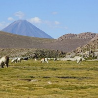 Foto de San Pedro de Atacama