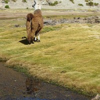 Foto de San Pedro de Atacama