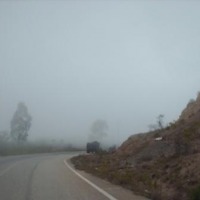 Foto de Arbol Redondo