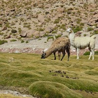 Foto de San Pedro de Atacama
