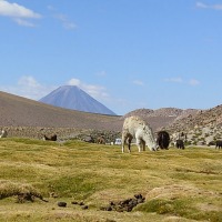 Foto de San Pedro de Atacama