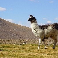 Foto de San Pedro de Atacama