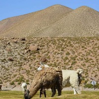 Foto de San Pedro de Atacama