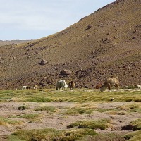Foto de San Pedro de Atacama